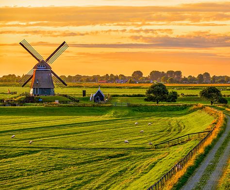 This farm scene looks even more beautiful in the early morning sunlight. Sunrise Farm, Morning Sunlight, Beautiful Farm, Farm Scene, Early Morning, Sunrise Sunset, Golf Courses, Quick Saves, Nature