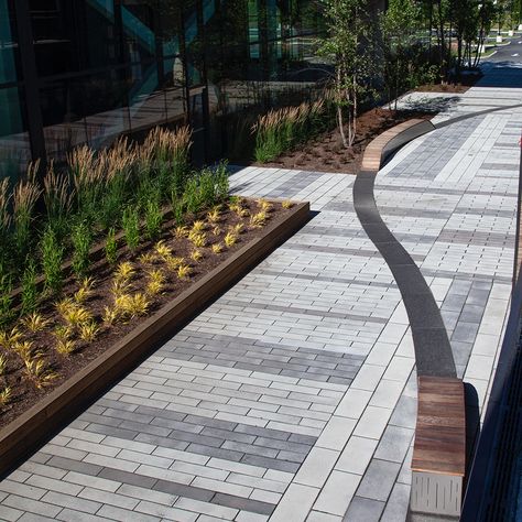 The Post at 200 Smith reimagines a United States Postal Service processing center as a vibrant work community by converting the sprawling environment into a collective of fresh, cohesive workspaces. The paving pattern in the courtyard recalls the postal service ‘bar code’ in a linear pattern using 6 x 24″ and 12 x 24″ with Umbriano® finish in French Grey, Grenada White and Winter Marvel, accented with a Smooth Premier finish in Sycamore to tie into the wood features. 
#unilock #umbriano #pavers Paving Pattern Landscape, Pavement Design Paving Pattern, Paved Patio Ideas, Paved Garden Ideas, Landscaping Sidewalk, Sidewalk Landscape, Paved Garden, Concrete Pavers Walkway, Diy Sidewalk