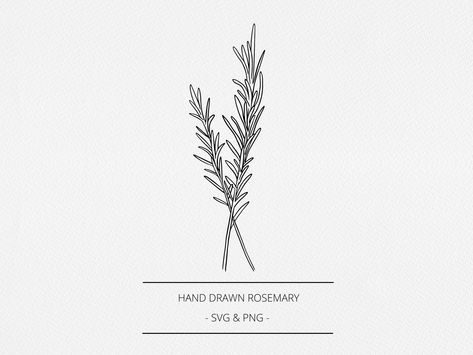 Rosemary Outline, Rosemary Doodle, Rosemary Tattoo Minimalist, Rosemary Sprig Tattoo Simple, Rosemary Plant Drawing, Rosemary Sprig Drawing, Rosemary Tattoo Design, Rosemary Branch Tattoo, Sprig Of Rosemary Tattoo