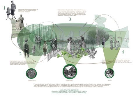 Programmatic Collage depicting the main spaces in the urban landscape and the users within it. Tea garden habitat, educational, greenhouse and social spaces. By Fatima Ali, CSM student, 3RD yr undergad work. Landscape Diagram, Site Analysis Architecture, Collage Architecture, Landscape Architecture Graphics, Urban Garden Design, Presentation Board Design, Urban Analysis, Architecture Mapping, Landscape Gardening