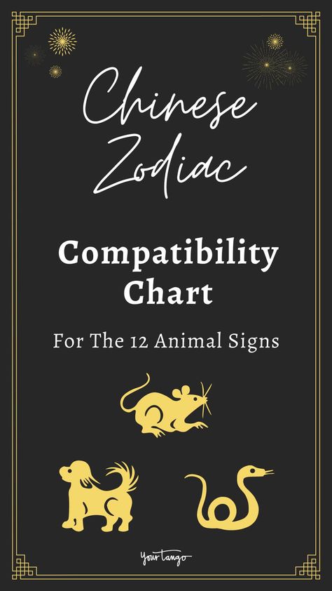 Chinese Zodiac Compatibility: Chart And Analysis For All Signs | YourTango Chinese Astrology Chart, Chinese Zodiac Signs Compatibility, Chinese Zodiac Compatibility, Zodiac Sign Compatibility, Pig Chinese Zodiac, Horse Zodiac, Pig Zodiac, Snake Zodiac, 12 Chinese Zodiac Signs