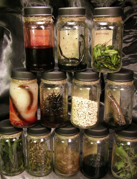 Wicca Beliefs, Witchy Potions, Potion Shop, Potion Ingredients, Halloween Potion Bottles, Halloween Apothecary, Halloween Bottles, Halloween Potions, Kitchen Witchery