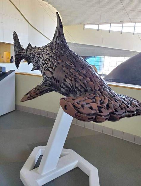 Hammer Heads, Illusion Kunst, Shark Sculpture, Shark Pictures, Hammerhead Shark, Sculpture Metal, Really Funny Pictures, An Animal, Sea Creatures