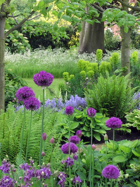 Shade Garden Design, Manor Garden, Purple Garden, Have Inspiration, Woodland Garden, Design Garden, Gorgeous Gardens, Shade Plants, Garden Cottage