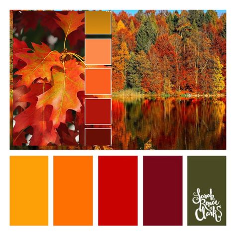 Autumn Colour Palette, Fall Color Pallet, Fall Wedding Color Schemes, Retro Color Palette, Color Catalog, Color Pallete, Color Palette Bright, Color Me Beautiful, Fall Color Palette