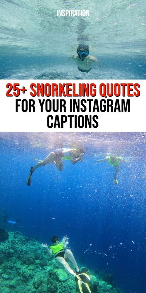 The perfect captions for snorkeling photos! This post is full of snorkeling quotes for your instagram captions! Snorkeling Quotes Adventure, Underwater Captions Instagram, Underwater Captions, Aquarium Captions Instagram, Snorkeling Quotes, Underwater Quotes, Water Captions, Snorkeling Photos, Ocean Captions