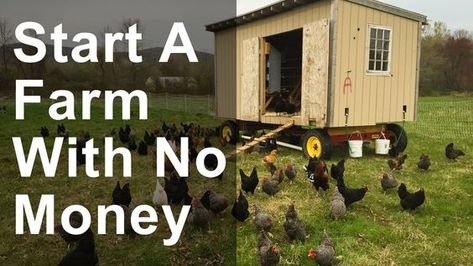 Start A Farm, Starting A Farm, Homestead Farm, Farm Business, Homestead Gardens, Future Farms, Homestead Living, Hobby Farm, Mini Farm