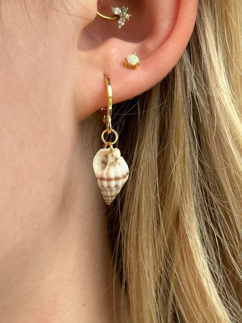 Gold Shell Earrings Dreamy Jewelry, Jewellery Wishlist, Earring Stack, Ocean Earrings, Seashell Jewelry, Scallop Shell, Ocean Jewelry, Jewelry Website, Dope Jewelry