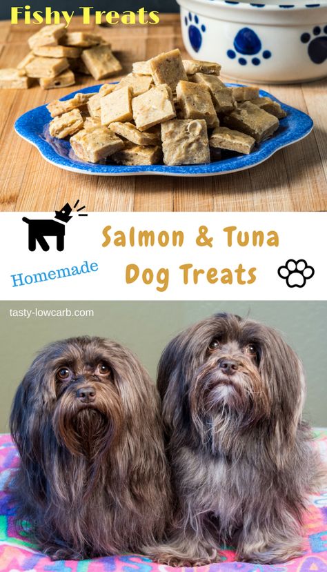 Tuna Dog, Salmon Dog Treats, Baby Treats, Pet Recipes, Treat Business, Potato Dog, Pets Food, Tea Remedies, Dog Biscuit