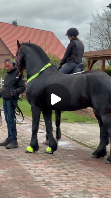 ℂ𝕒𝕝𝕧𝕒𝕕𝕠𝕤 on Instagram: "Erschrocken vom Flatterband 🫣#stepptanz #tanz #friese #erschrecken #schönster #friesian #blackhorses #blackbeauty #love #ausritt #spaziergang #pferd #horse #standhaft #trainer #trainerthomas" Friesian Horse Riding, Friesian Horse Dressage, Friesian Dressage, Friesian Horse Jumping, Creative Pumpkin Carving Ideas, Horse's Neck, Black Fresian Horses, Comedy Clips, Creative Pumpkin Carving