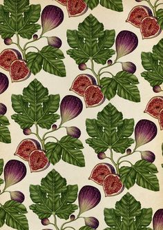 figue pattern Katie Scott, Fruit Painting, Scientific Illustration, Botanical Drawings, Fruit Art, Tumblr Wallpaper, Botanical Illustration, Surface Pattern Design, Botanical Art