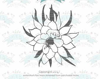 Queen of the Night, Flower, Outline, svg file, Hand-drawn, Hand-written svg, svg cutfile, svg for Cricut Queen Of The Night Flower Drawing, Queen Of The Night Flower Tattoo, Night Flower Tattoo, Queen Of The Night Flower, Small Black Tattoos, Queen Of Night, Epiphyllum Oxypetalum, Flower Tattoo Stencils, Night Tattoo