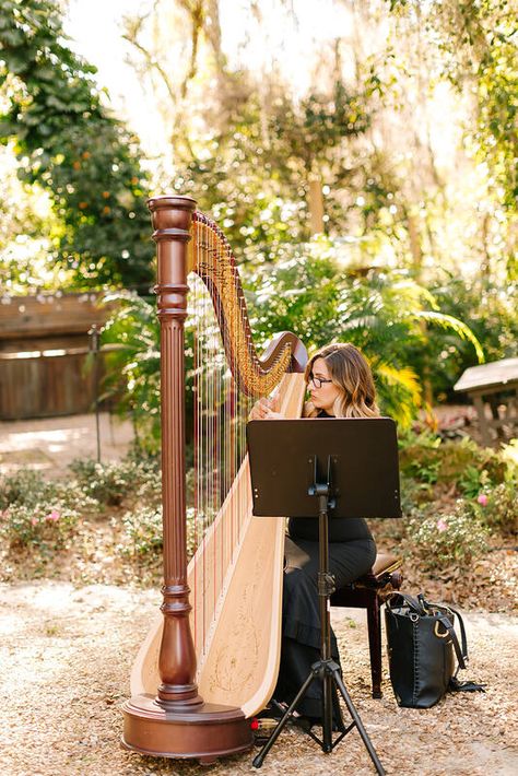 Wedding Ideas Venues, Harp Music, Yacht Wedding, Gorgeous Tile, Ceremony Music, June Wedding, Outside Wedding, Up Wedding, Elephant Wedding