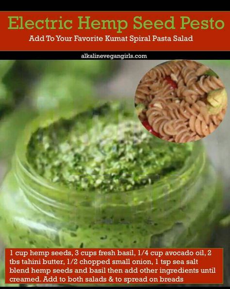 Alkaline vegan hemp seed pesto Alkaline Salad Dressing Recipes, Alkaline Sauces, Alkaline Butter, Alkaline Pasta Salad, Alkaline Pasta Sauce, Alkaline Vegan Recipes, Alkaline Recipes, Raw Vegan Alkaline Diet, Hemp Seed Recipes