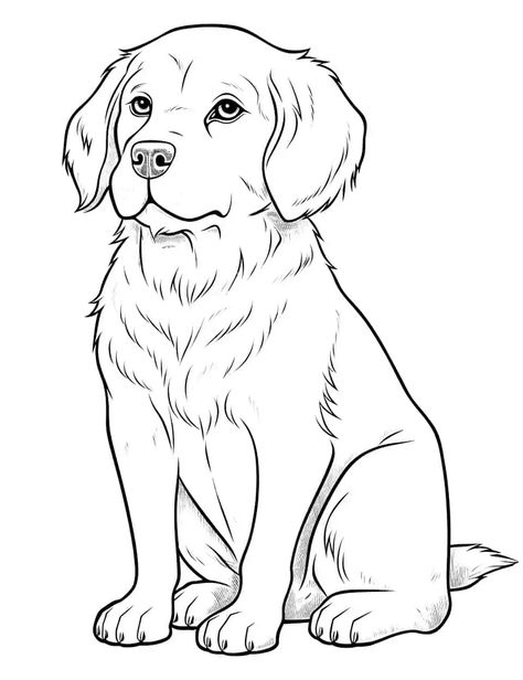 Coloring Pages Dogs Free Printable, Printable Puppy Coloring Pages, Dog Pictures Drawing, Dog And Puppy Drawing, Dog Sketch Cartoon, Dog Drawing Outline, Dog For Coloring, How To Draw Dog, Dog Colouring Pages