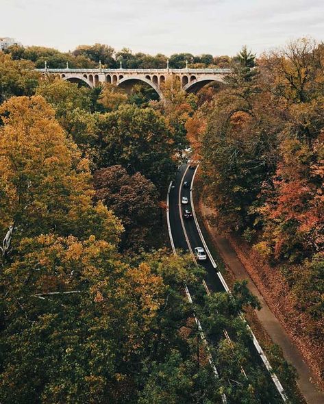 Autumn In Dc, Washington Dc Aesthetic Fall, Washington Dc November, Washington Dc In Fall, Fall In Washington Dc, Fall In Dc, Dc In The Fall, Historian Aesthetic, Fall In Washington