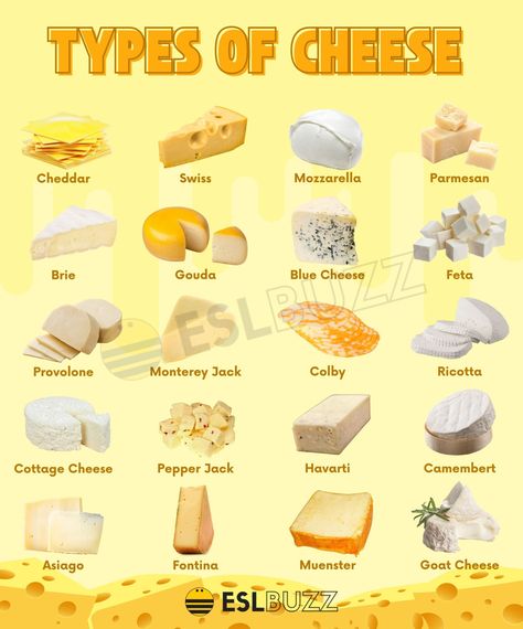 Different Type Of Cheese, Cheese Types, Cheese And Onion Pie, Cheese Names, Different Types Of Cheese, English Cheese, Cheese Stuffed Mushrooms, Onion Pie, French Cheese