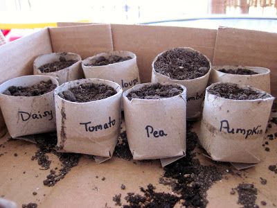 Girl Scout Troop 1138: Use Resources Wisely. Green petal.  make toilet paper roll planters that can be put in the ground when seeds sprout. Use Resources Wisely, Girl Scout Daisy Petals, Girl Scout Daisy Activities, Girl Scout Gifts, Girl Scout Troop Leader, Girl Scout Badges, Girl Scout Daisy, Girl Scout Activities, Daisy Scouts