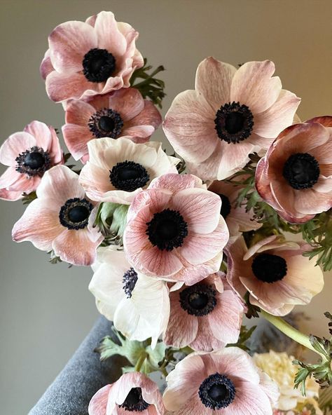 Anemone Flower Aesthetic, Bridal Bouquet Anemone, Anemone Flower Bouquet, Blush Anemone, Wedding Anemone, Anemones Wedding, Anenome Flower, Anemone Bridal Bouquet, Wedding Recipes