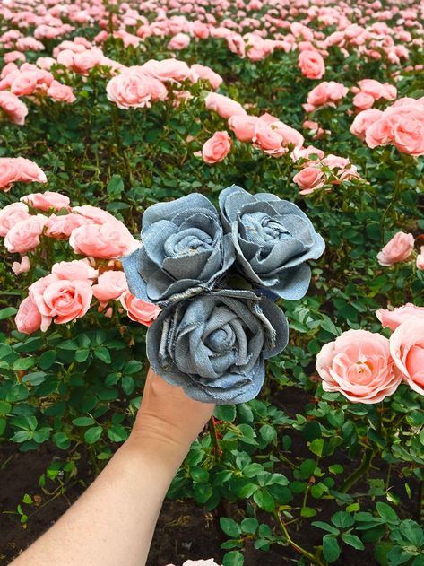 How to Make Denim Flowers (DIY) Diy Denim Flowers Tutorials How To Make, Denim Roses How To Make, Denim Flowers Diy Tutorials, Diy Denim Flowers, Denim Flowers Diy How To Make, Flower Wall Design, Diy Fabric Flowers, Fabric Plants, Fabric Shears