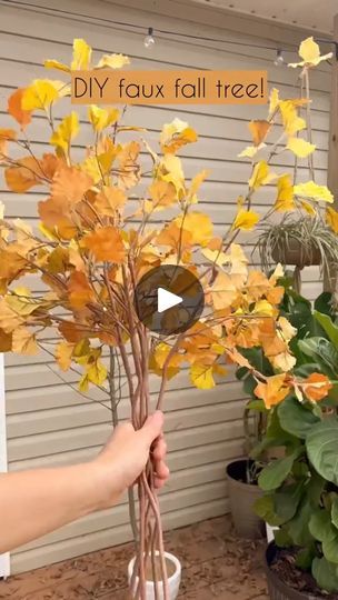 29K views · 274 reactions | DIY faux fall tree! This was a super simple DIY | Morgan Winton | Morgan Winton · Original audio How To Build A Fake Tree, How To Make A Fake Fall Tree, Fall Altar Decorations Church, Diy Fake Tree Roots, Diy Faux Fall Tree, How To Make A Fake Tree Trunk, Faux Fall Tree, Fall Backdrops, Fall Tree