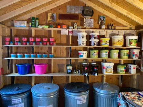 10x10 Shed Organization, Equine Tack Room Ideas, Tack Room Interior, Feed Shed Ideas, Small Horse Tack Room Ideas, Livestock Feed Storage Ideas, Horse Tack Organization Ideas, Stable Organization Ideas, Horse Food Storage