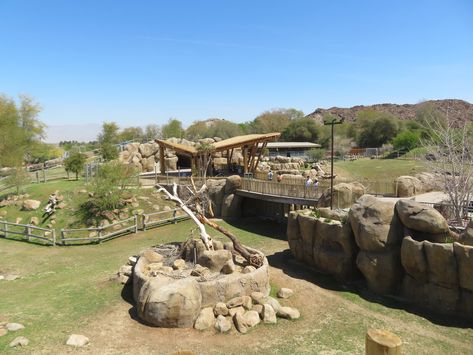 Zoo Habitats, Zoo Boo, Zoo Inspiration, Zoo Design, Zoo Project, Zoo Architecture, Zoo Ideas, Zoo Park, Black Rhino