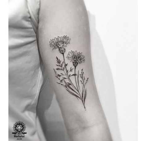 Cornflower Tattoo, Moutain Tattoos, Scotland Tattoo, Pine Tattoo, Scottish Tattoos, F Tattoo, Thistle Tattoo, Left Arm Tattoos, Celtic Knot Tattoo