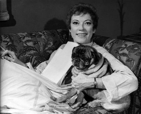 #GraysonHall  with her dog, Thing Grayson Hall, Original Tv Series, Dark Shadows, August 1, 2 Photos, Still Image, Getty Images, High Resolution, At Home