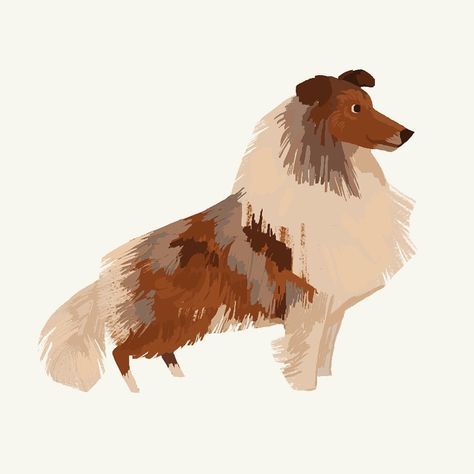 Collie Illustration, Rough Collie, Recycled Projects, Collie Dog, Dog Drawing, Art Instagram, Tasmania, Character Illustration, Rooster