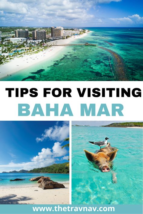 Are you thinking of heading to Baha Mar? Learn the ins and outs of Baha Mar from where to eat, where to stay, and what to do! Bahamas Excursions, Baha Mar, Atlantis Bahamas, Bahamas Vacation, Foreign Travel, Nassau Bahamas, Caribbean Vacations, The Bahamas, Island Travel