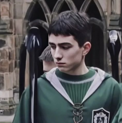 Adrian Pucey, Slytherin Quidditch, Hogwarts Dr, Aesthetic Anime, Hogwarts, Harry Potter, Anime, Fictional Characters, Quick Saves