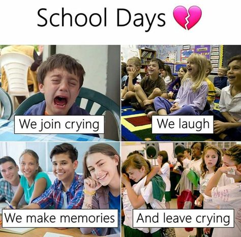 School Days Quotes, School Life Quotes, Student Jokes, Funny English Jokes, Exam Quotes Funny, English Jokes, School Quotes Funny, Best Friend Quotes Funny, Funny School Jokes