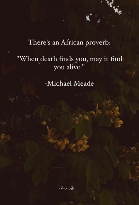 Darkness Quotation, One Liners Quotes Deep, Famous Book Quotes, Monthly Quotes, Poetic Quote, African Proverb, One Word Quotes, Meant To Be Quotes, Hard Quotes