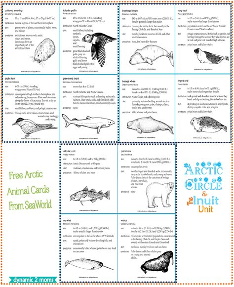 Arctic Unit Free Guides & Resources Antartica Animals, Arctic Art, Arctic Region, Learning Websites For Kids, Ocean Stuff, Indigenous Studies, Animal Studies, Unit Studies Homeschool, Ocean Unit