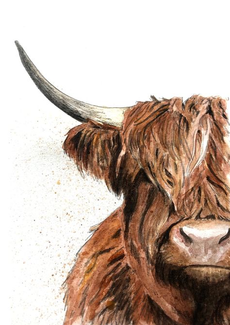 Hi Land Cow Painting, Highland Cow Canvas Paintings, Fluffy Cow Painting Easy, Hiland Cow Painting, Animal Oil Painting Realistic, High Land Cow Drawing, Hyland Cow Painting, Highland Cow Painting Tutorial, How To Draw A Highland Cow