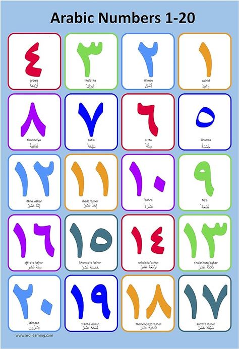 Arabic Numbers 1-100, Arabic Numbers 1 To 10, Numbers In Arabic, Arabic Alphabet Chart, Science Anchor Charts, Arabic Alphabet Letters, Arabic Numbers, Teach Arabic, Learn Arabic Alphabet