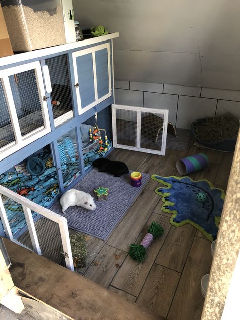 Guinea Pig Hutch Outdoor, Guinea Pig Shed Ideas, Outdoor Guinea Pig Enclosure, Guinea Pig Cage Ideas Outdoor, Rabbit Shed, Diy Guinea Pig Cage, Pig Ideas, Guinea Pig Hutch, Pet Shed