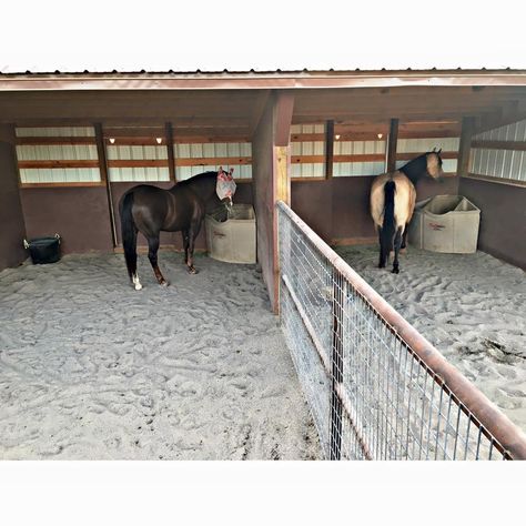 Horse Boarding Facility Ideas, Simple Horse Barns, Show Cattle Barn, Stable Yard, Horse Pens, Horse Shed, Livestock Barn, Horse Farm Ideas, Diy Horse Barn