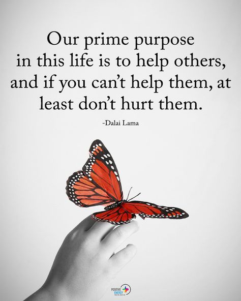 Type YES if you agree. Our prime purpose in this life is to help others, and if you can't help them, at least don't hurt them. - Dalai… Dali Lama Quotes, Dali Lama, Motivation Positive Quotes, Change Habits, Lama Quotes, Dalai Lama Quotes, Positive Energy Quotes, Energy Quotes, Wellness Wednesday