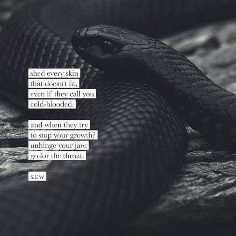 🖤🖤🖤 #shed #skin #fit #coldblooded #try #stop #growth #jaw #throat #selflovequotes #selfimprovement #selfawareness #change #evolve… Poems About Life, Can't Stop Won't Stop, Quotes Words, Short Inspirational Quotes, A Snake, Poem Quotes, Quotable Quotes, Inspiring Quotes About Life, A Quote