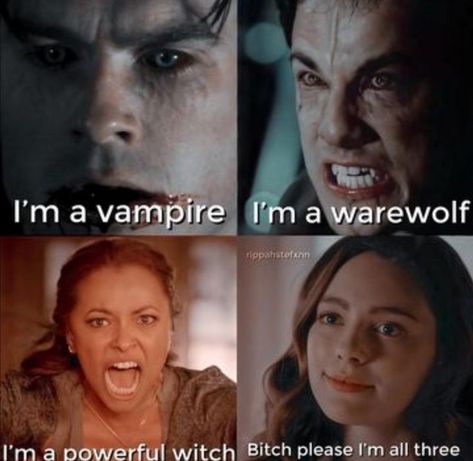 Funny Vampire Diaries, Funny Vampire, Vampire Diary, Vampire Diaries Memes, Fandom Quotes, Vampire Shows, Vampire Series, The Vampire Diaries Characters, Vampire Diaries Poster