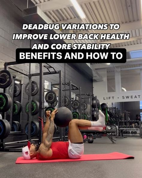 Victor Miranda on Instagram: "UNDERSTANDING THE DEADBUG 
-

 The dead bug is an excellent exercise for promoting total core stability while improving contra-lateral limb engagement. This basically means the exercise helps teach you to effectively move opposing limbs in tandem while keeping your core stable and your back protected.

 The dead bug is a beginner-friendly movement that can be progressed and helps you grow accustomed to contra-lateral limb extension while keeping your core stable and protected. Performed correctly, the dead bug encourages the deep, stabilizing muscles of your low back, abdominals, and hips to engage, preventing your back from twisting or arching during the exercise. You’ll end up improving side-to-side coordination that can effectively transfer to athletic perf Deadbug Exercise, Hip Pain Relief, Deep Core, Core Stability, Hip Pain, Athletic Performance, Knee Pain, Core Workout, Tandem