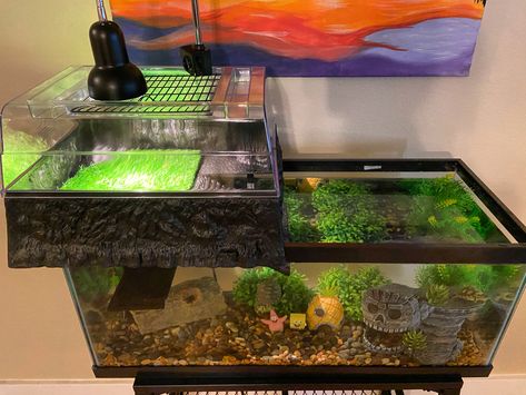 Red Eared Slider Turtle Habitat Tanks, Red Ear Slider Turtle Tank Ideas, Water Turtle Tank Ideas, Red Eared Slider Turtle Habitat, Red Eared Slider Tank, Aquatic Turtle Habitat, Box Turtle Habitat, Red Ear Turtle, Turtle Cage