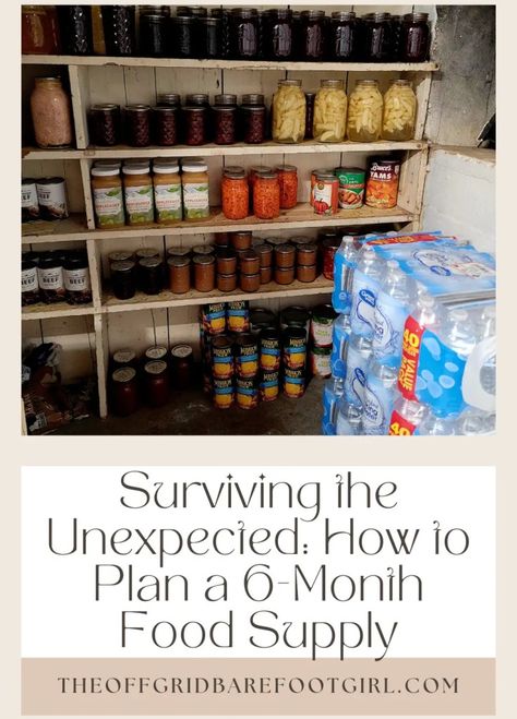 Surviving the Unexpected: How to Plan a 6-Month Food Supply - The Off Grid Barefoot Girl 3 Month Food Supply List, Canning Room, Food Supply List, Staple Meals, Survival Food Storage, Survival Prep, Emergency Preparedness Food, Emergency Food Supply, Survival Supplies