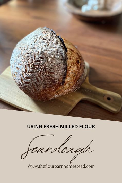 Sourdough Bread Recipe that utilizes freshly milled flour and fits easily into your weekly routine. Fresh Milled Flour Sourdough Recipes, Fresh Milled Sourdough, Fresh Milled Sourdough Bread, Fresh Milled Flour Sourdough Bread Recipe, Freshly Milled Sourdough Bread, Fresh Milled Flour Sourdough, Milled Flour Bread Recipe, Sourdough With Fresh Milled Flour, Sourdough Bread With Fresh Milled Flour