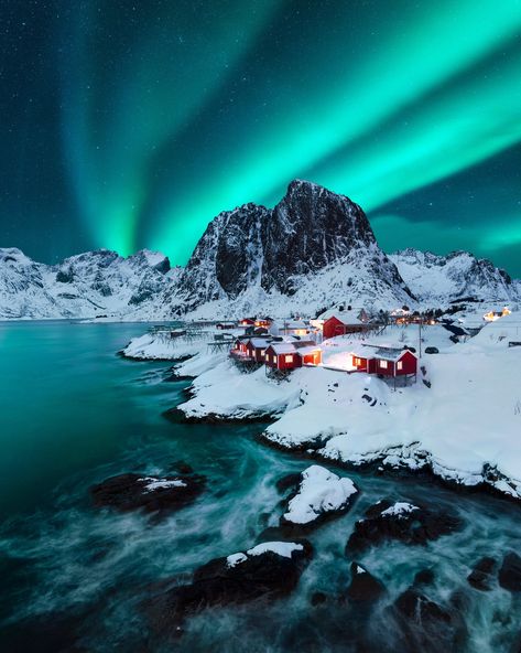 Northern Lights Photography, Aurora Borealis Northern Lights, See The Northern Lights, The Northern Lights, Lofoten, Incredible Places, Nature Travel, Aurora Borealis, Belle Photo