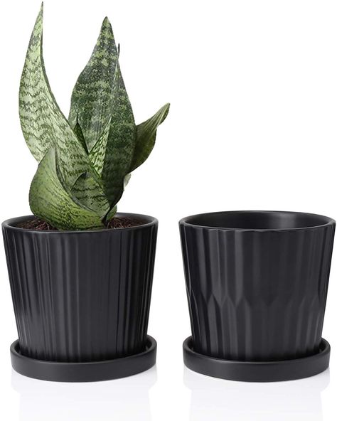 Black Plant Pots, Cylinder Ceramic, Planters Indoor, Black Plant, Bamboo Dishes, Large Indoor Plants, Self Watering Pots, Ceramic Planter Pots, Plastic Plant Pots