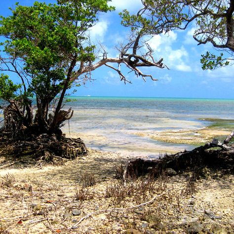 Geiger Key Abandoned Beach – Boca Chica, Florida - Atlas Obscura Abandoned Beach, Key West Beaches, Fl Keys, Abandoned Cities, Haunted Castle, Scenic Design, Tick Tock, Florida Travel, Florida Keys