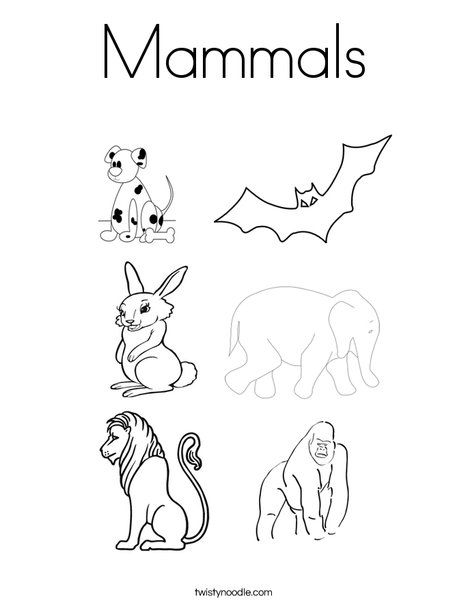 Mammals Coloring Page - Twisty Noodle Colouring Pages Printable, Mammals Activities, Kids Christmas Coloring Pages, Classroom Borders, Twisty Noodle, Farm Animal Coloring Pages, Exploring Nature, Holiday Lettering, Cars Coloring Pages